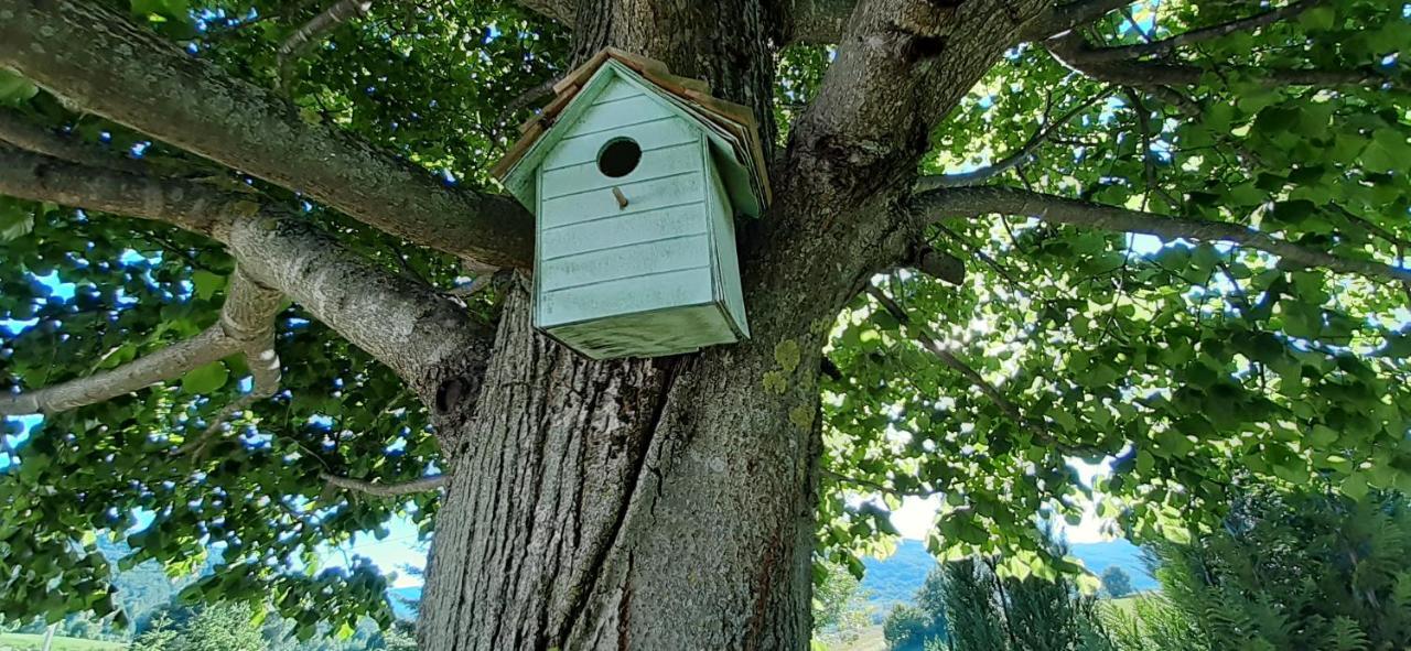 Wooden House Nela Near Plitvice Lakes سوملجاناك المظهر الخارجي الصورة