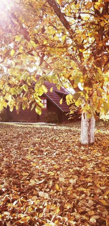 Wooden House Nela Near Plitvice Lakes سوملجاناك المظهر الخارجي الصورة
