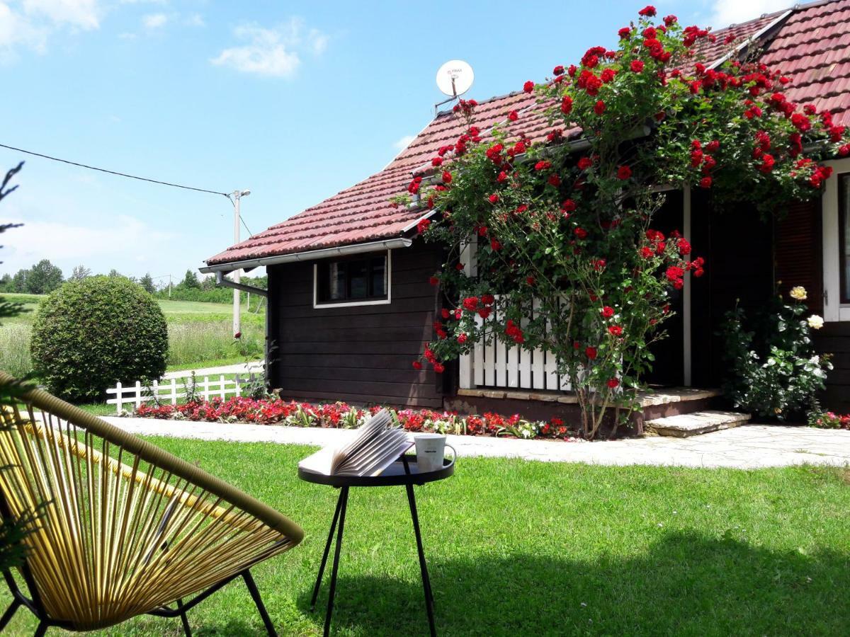 Wooden House Nela Near Plitvice Lakes سوملجاناك المظهر الخارجي الصورة